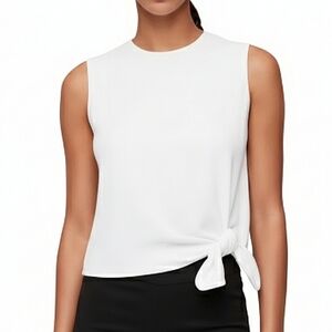 Aritzia BABATON Hopkins Sleeveless Blouse